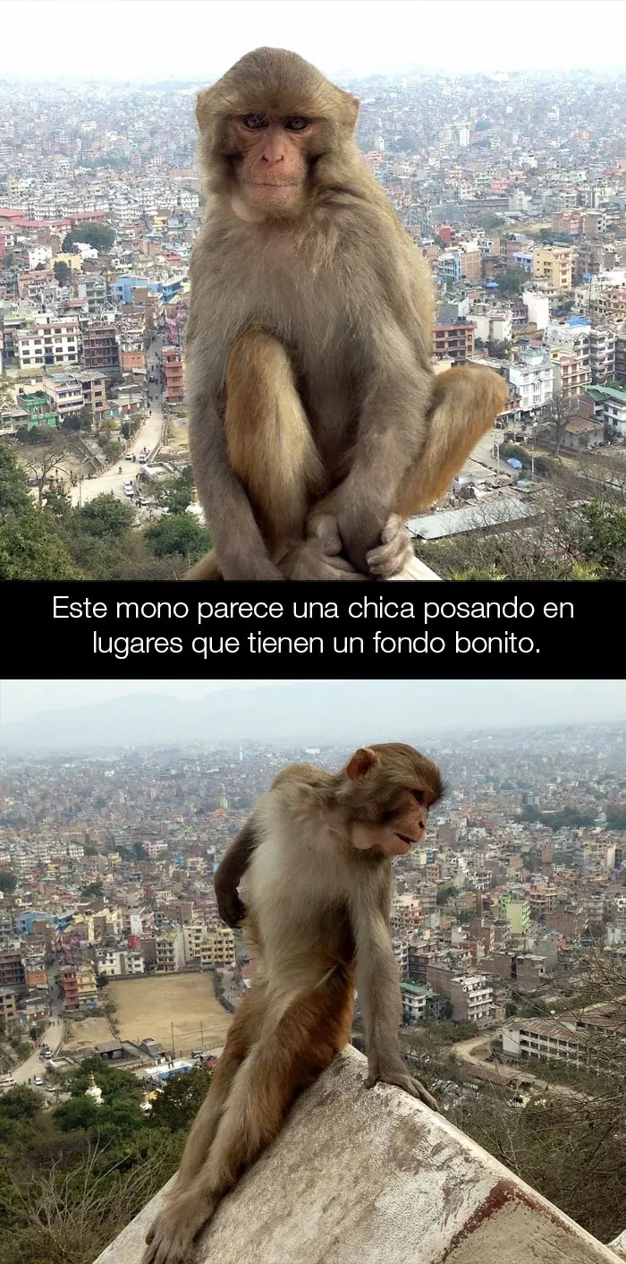 reir
