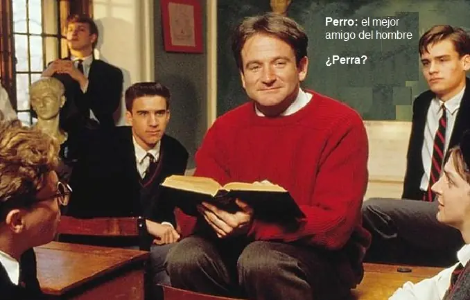 Lenguaje