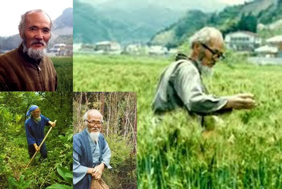 ¿Qué es la agricultura natural? Metodo Fukuoka
