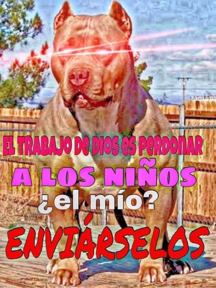 asesinar