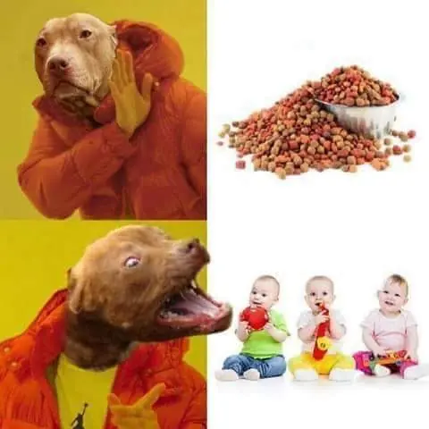 pitbull