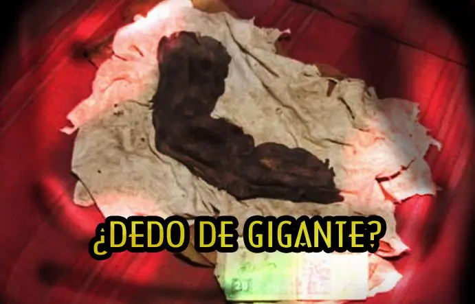 Un dedo de 38 centímetros de largo encontrado en Egipto