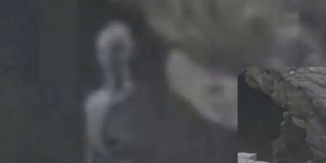 Avistamiento de un ser extraterrestre en Machu Picchu