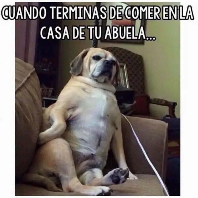 fotos