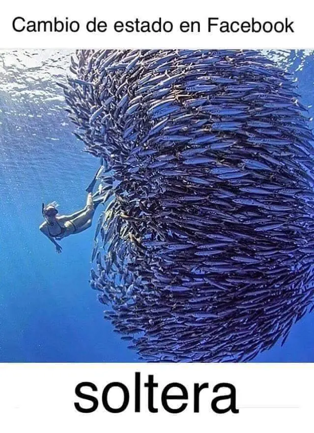 divertidos