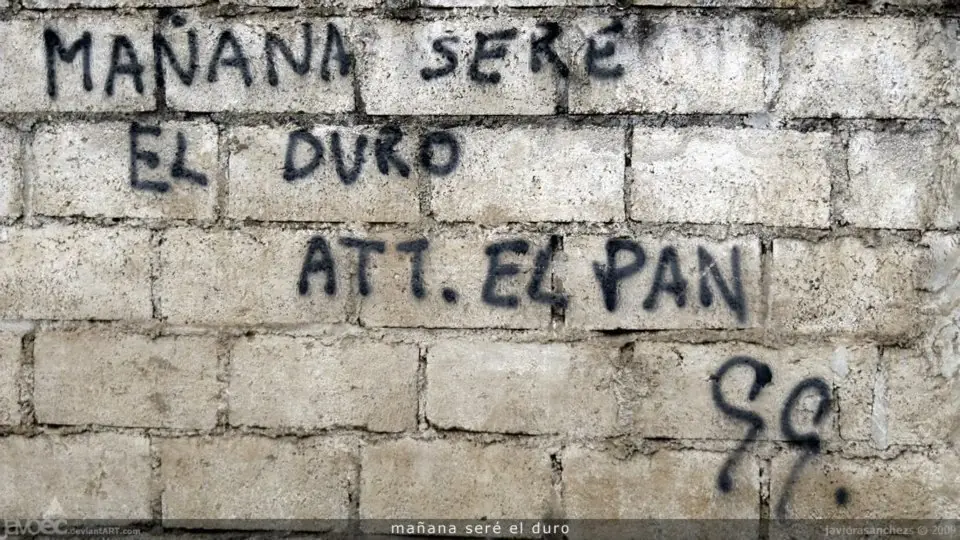 imagenes