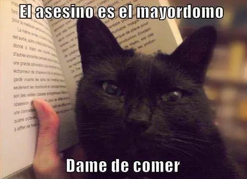 chistes