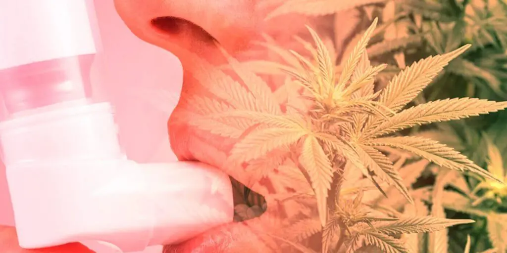 Que pañuelo van a usar para esto. Pasa papu