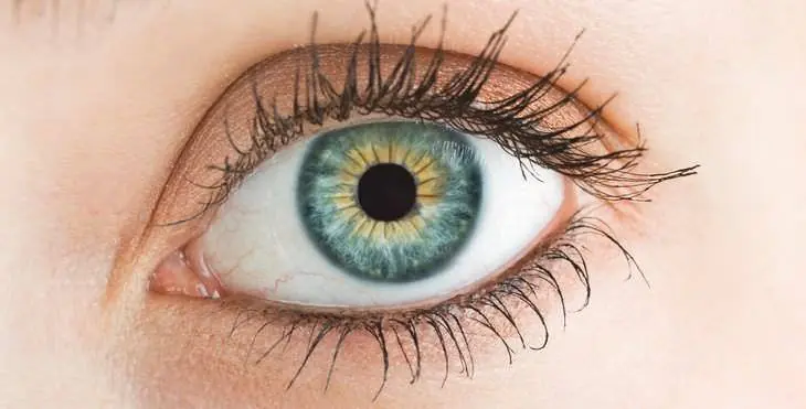 5 Nutrientes para que tus ojos se mantengan jóvenes