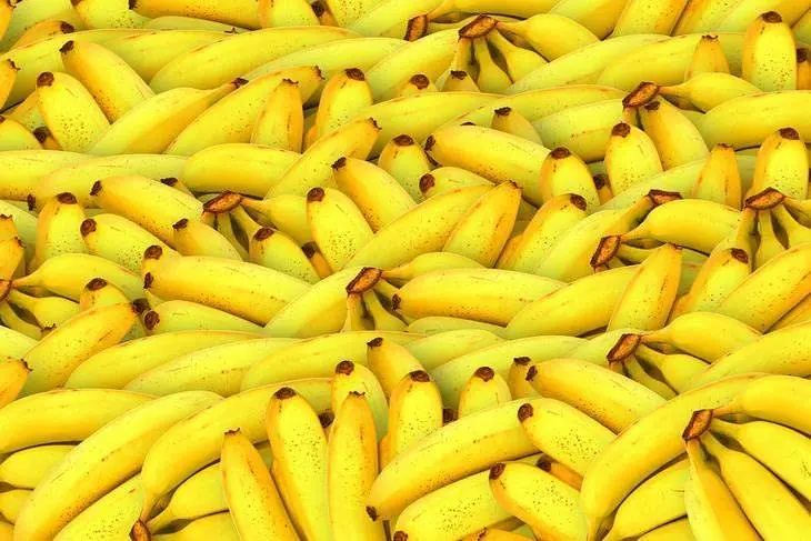 alimentos