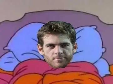 del potro Djokovic del potro Djokovic