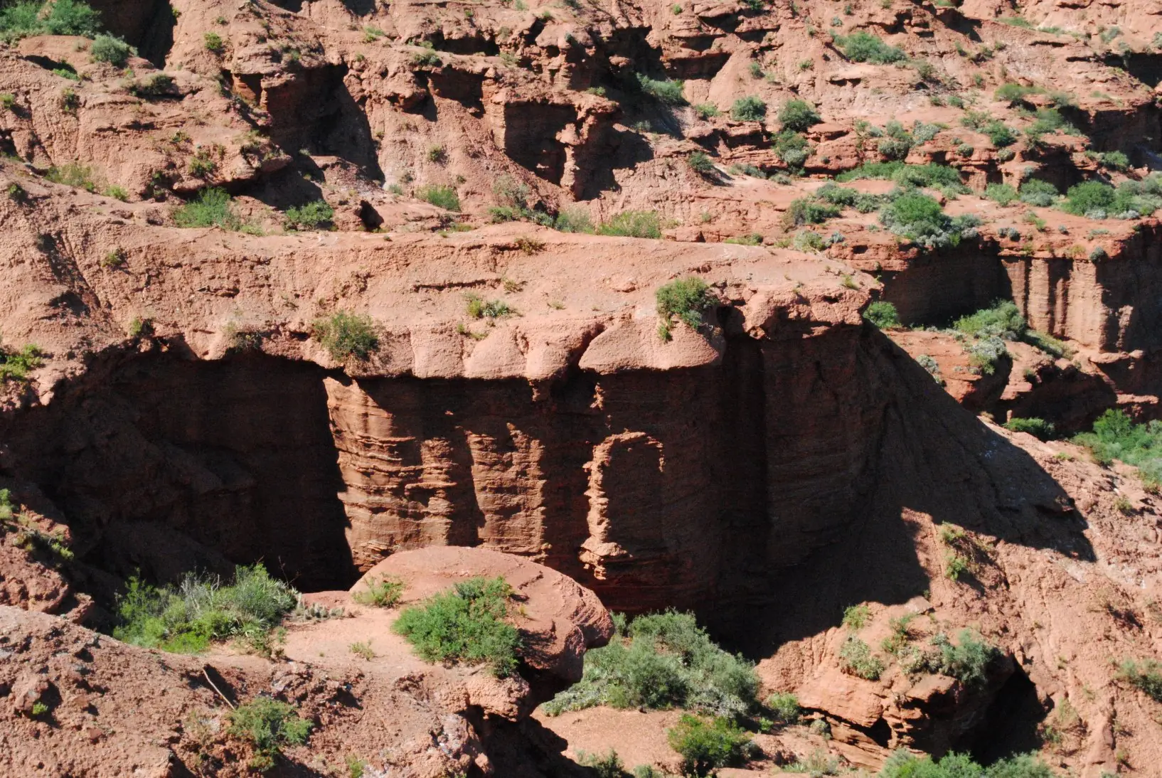 chaco arido