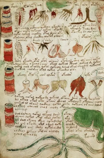 situacioes