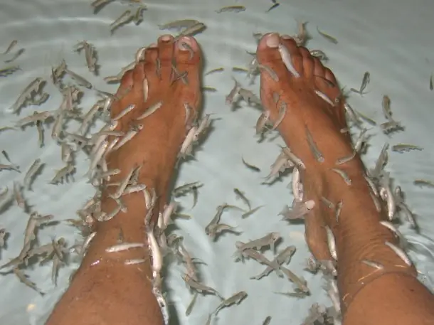 Tailandia:le amputaron 5 dedos del pie por SPA con peces
