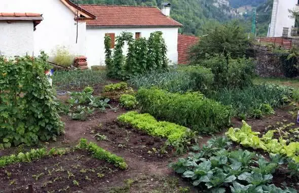 Que es un huerto urbano?