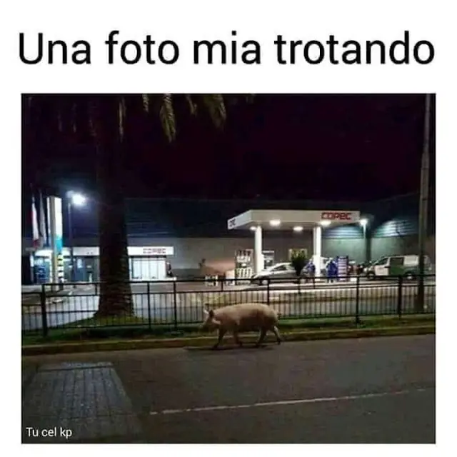 humor