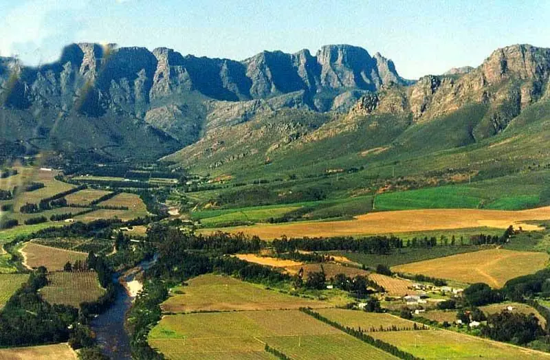 Afrikaners
