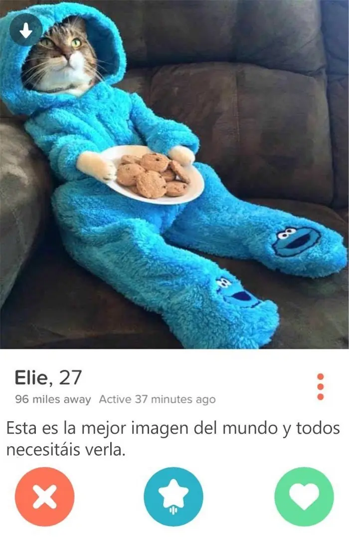 memes