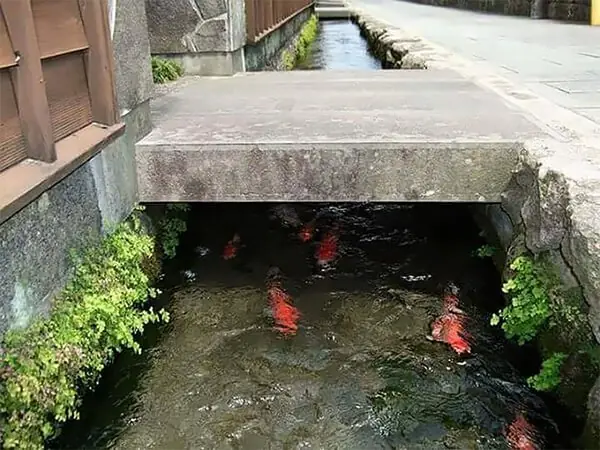 13 Cosas locas que sólo pasan en Japón