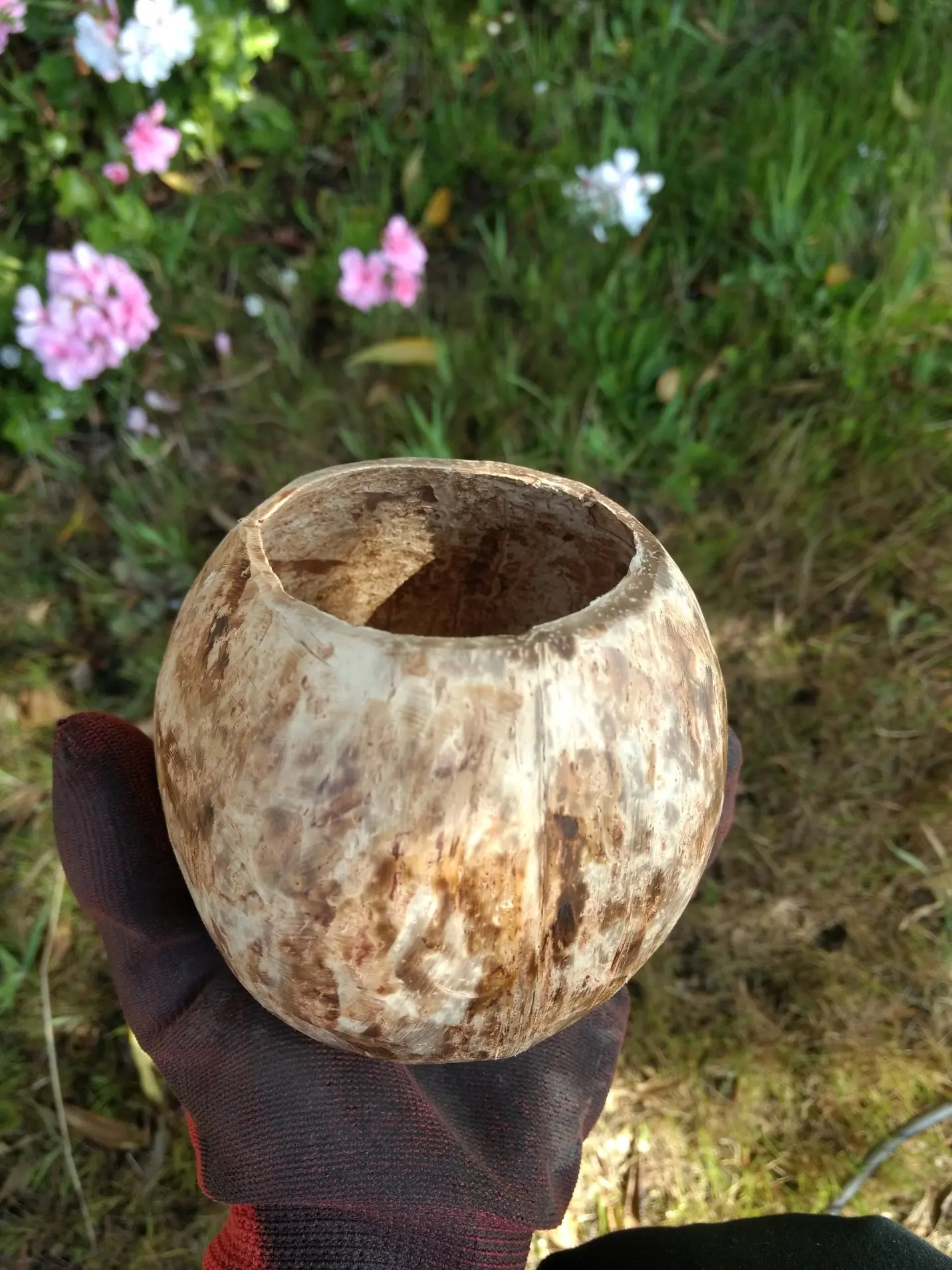 Hice un matero de coco y te lo muestro