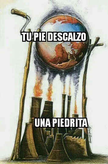 MEMES