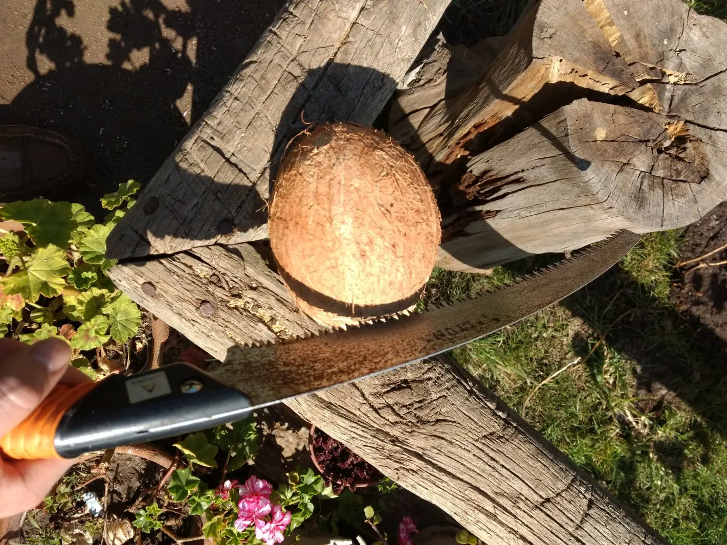 materocasero