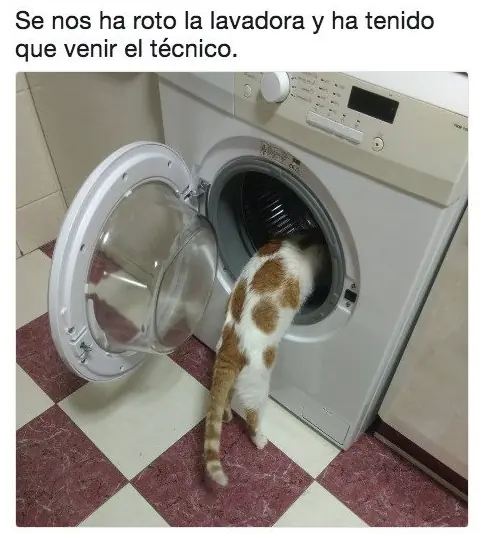 Humor tosedor: Mix de memes e imagenes locas y wtf