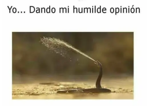 imagenes