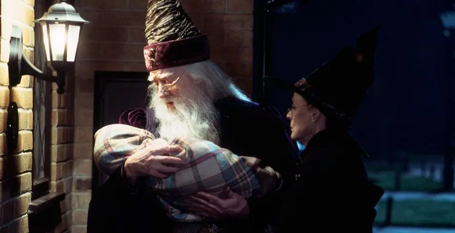 actores de harry potter