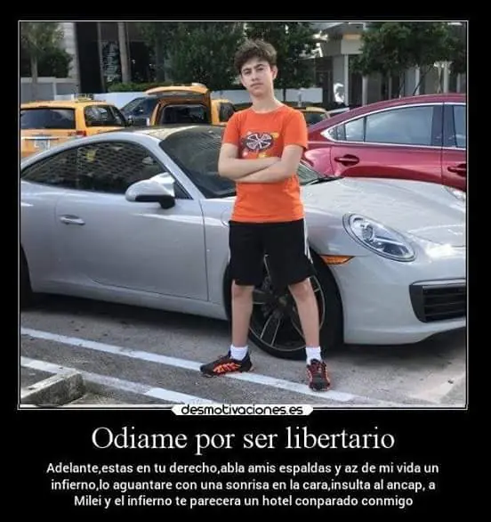 Memes anti-libertarios