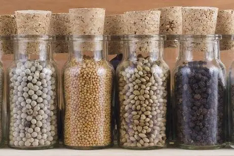 bolsas