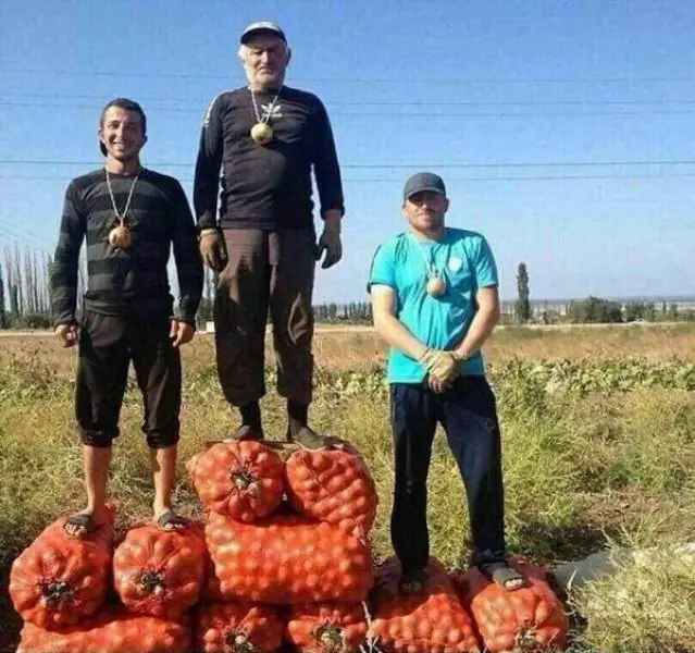 wtf