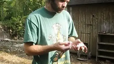 paleo