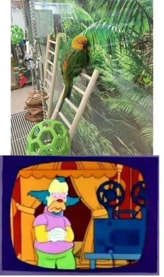 humor