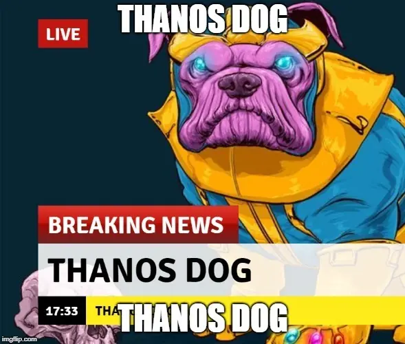 meme