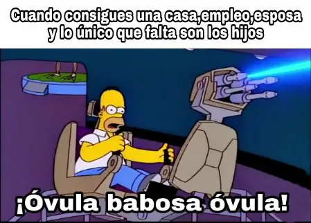 memes