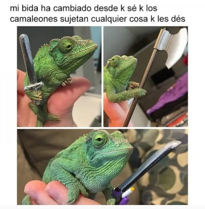 miercoles