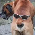 usuarios