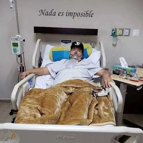 impactaron