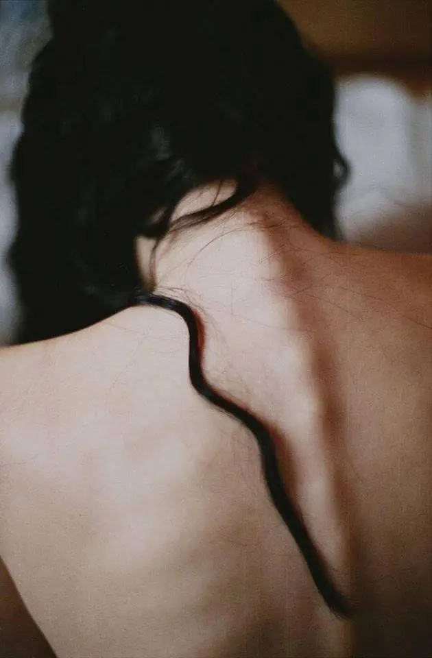 estandares