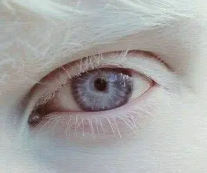 belleza
