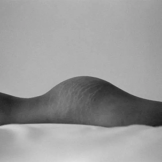 Cuerpos Reales