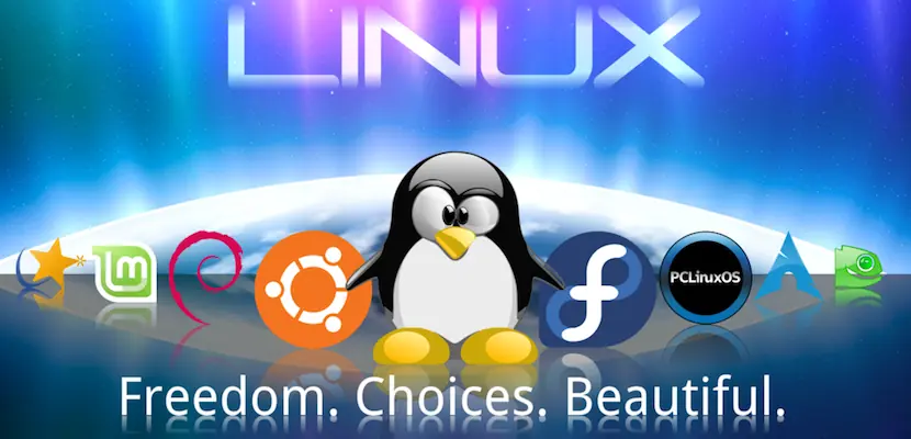 Cómo ver archivos ocultos: Mac,Windows, linux, android y mas
