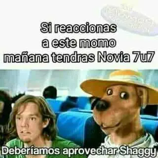 Te hacen gracia los "momazos"? rocopilacion de ellos