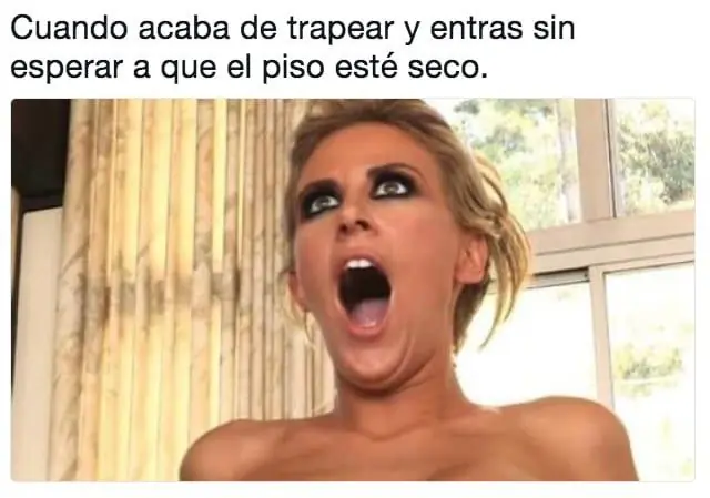 viste