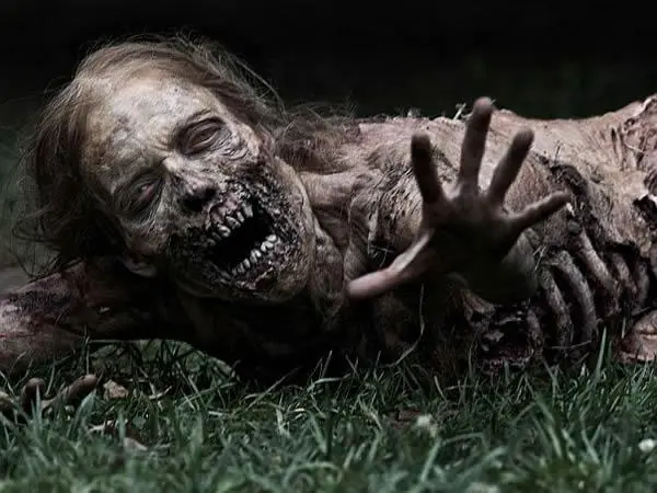 La Evolucion De Zombie