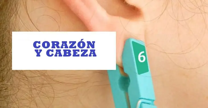 pinzas