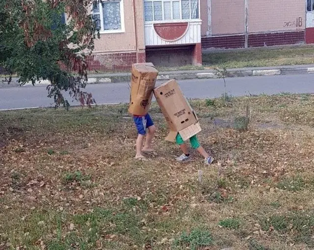 wtf