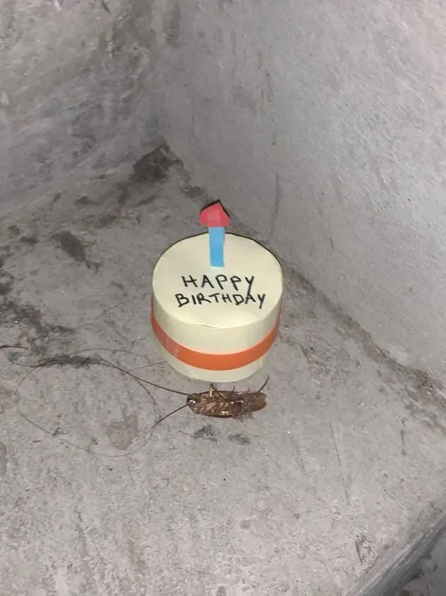 cucaracha