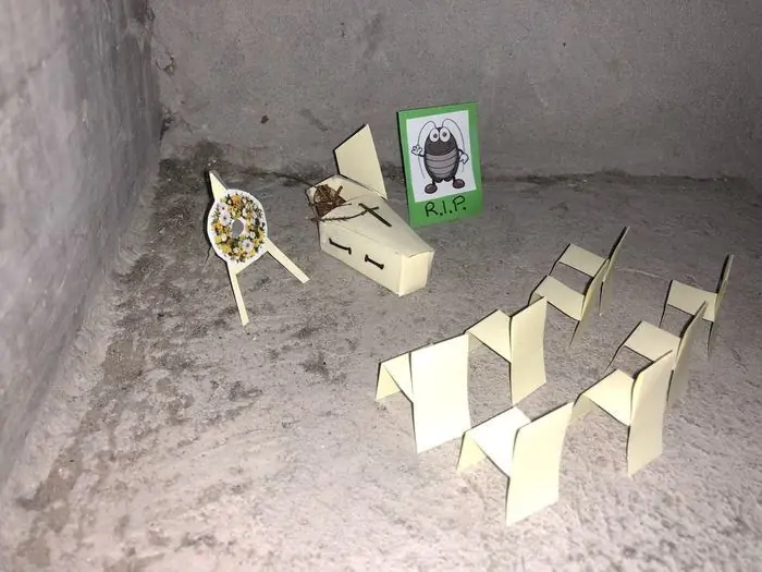 cucaracha muerta
